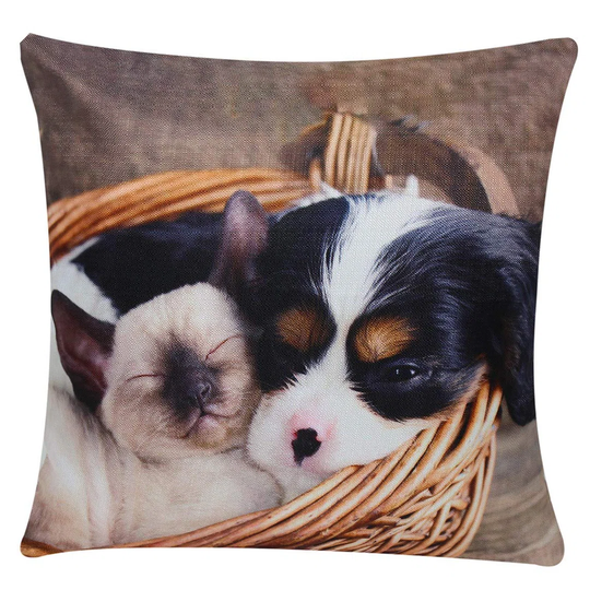 Dezaray Cavalier King Charles Spaniel Dog And Kitten Friendship No Pattern And Not Solid Colour Scatter Cushion Cover