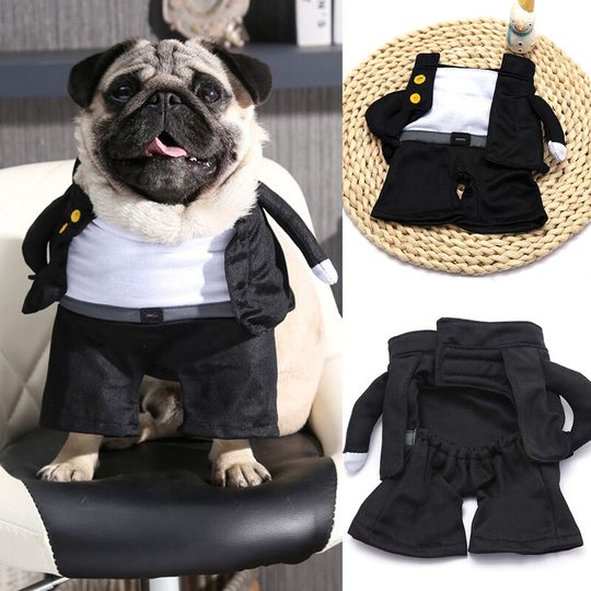 Pet dog cat Costume Role Play Halloween waiter college boys standing up funny dress up College