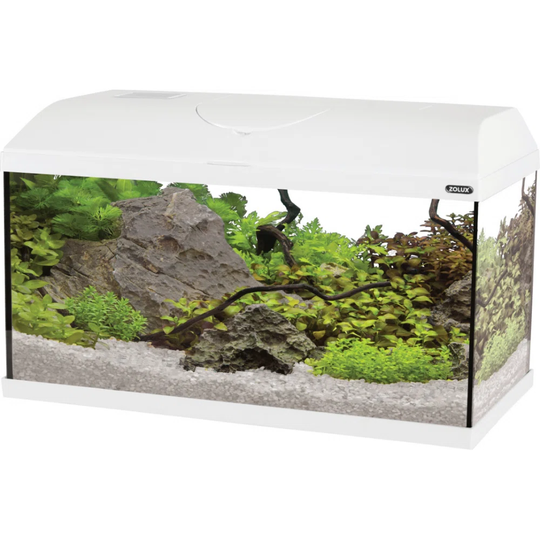 Aqua First 60 White Aquarium Tank