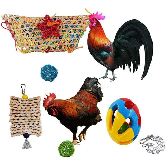 5pcs Bird Chew Toys Hen Chew Toys for Large Bird Parrot Hen Macaw Training Coop Accessories