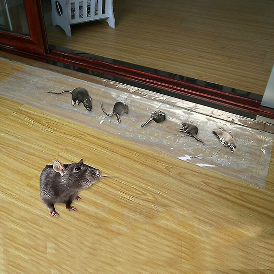 1.2m Invisible Sticky Rat Board Rat Control Blanket Strong Rat Sticker 5 Packs,11