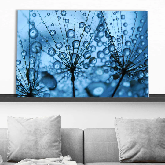 Soft Dandelion Seeds II - Wrapped Canvas Photograph Print