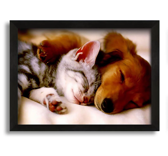 Cute Kitten and Puppy - Picture Frame Photograph on Canvas