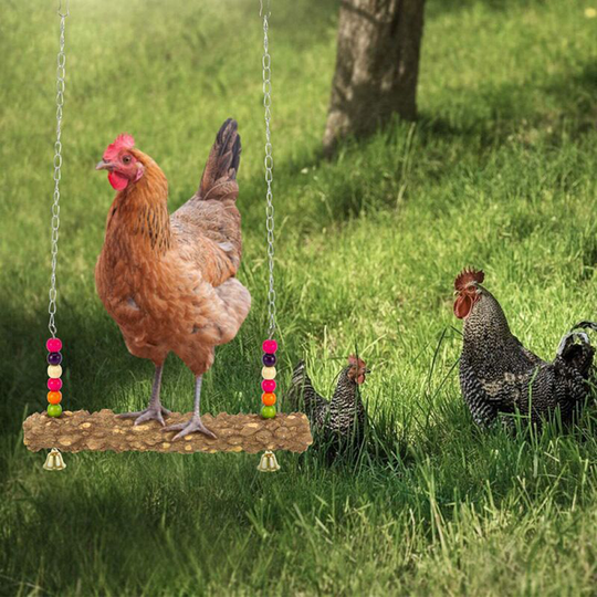 Pet Chicken Large Parrots Wooden Swing Stand Hanging Bar Bell Safety Toy Pet Bird Chicken-1pcs - Thsinde