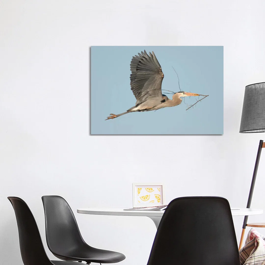 Great Blue Heron Flying with Nest Material, Kensington Metropark, Milford, Michigan by Steve Gettle - Wrapped Canvas Painting