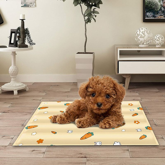 Dog and Cat Cooling Mat Self-Cooling Gel Pad Cooling Mat for Pets Cool Mat for Cats or Small and Medium-Sized Dogs 30x40cm