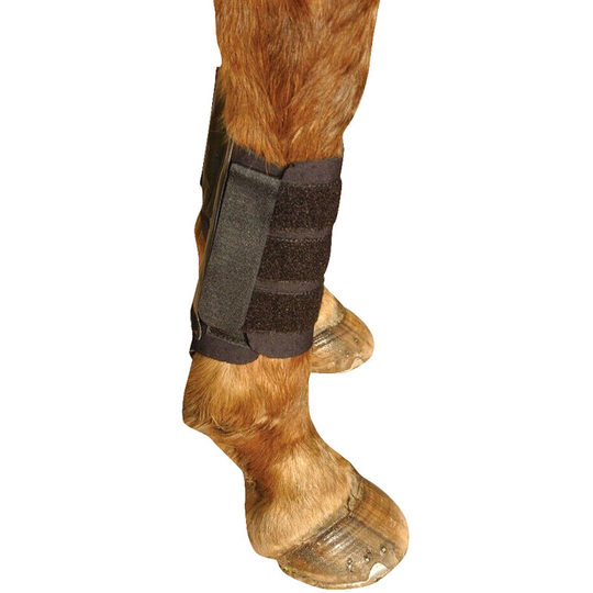 Kitt - Kool Brushing Boots (Pack Of 2) (Full) (Black) - Black