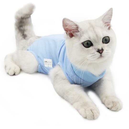 Cat Recovery Suit Cat Post-Op Recovery Suit Pet Surgery Recovery Weaning Leak-Proof Clothes Recommend 8-14 Pounds (Blue, l)