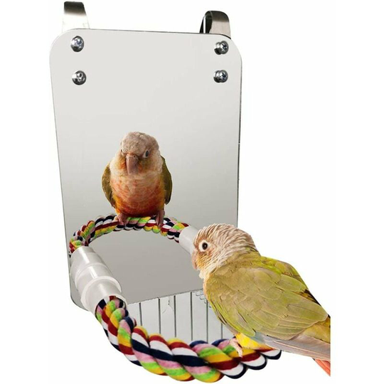 Thsinde - Bird Mirror Toy with Rope Perch Parrot Bite Toy with Large Mirror Parrot Claw Bird Cage Perches Mirror Chew Toy for Budgie Parakeet