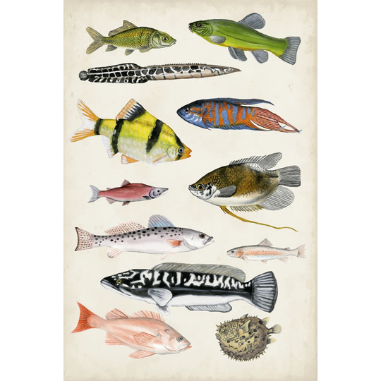 Antique Aquarium I