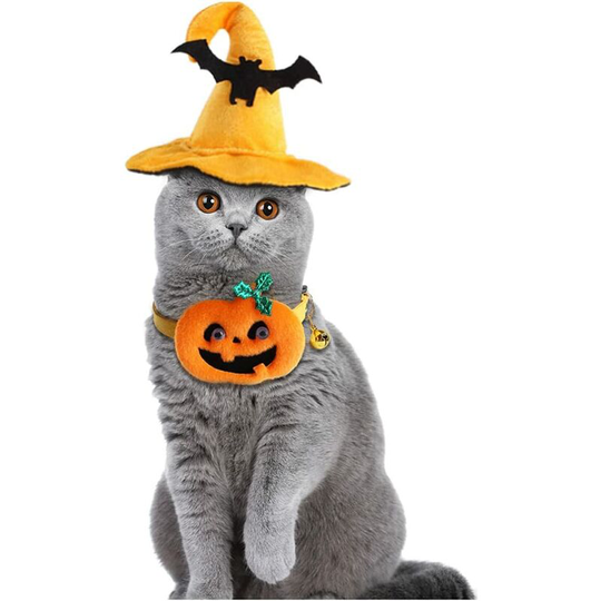 Halloween Accessories Kit Dog Bat Cat Pumpkin Collar Funny Pet Hats Dog Cat Halloween Transfiguration Clothes