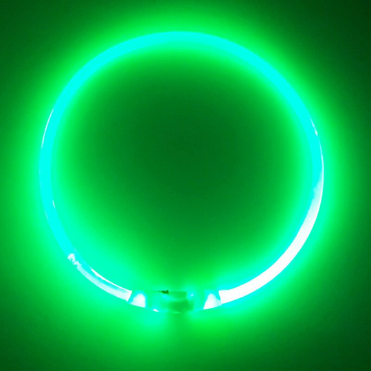 LED Light Up Dog Collar Rechargeable LED Flashing Safety Collar One Size Fits All Dogs. for Small Medium Large Dogs Running at Night (Green)