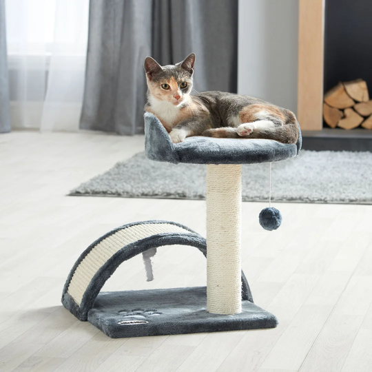 Scratchers and Scratching Post