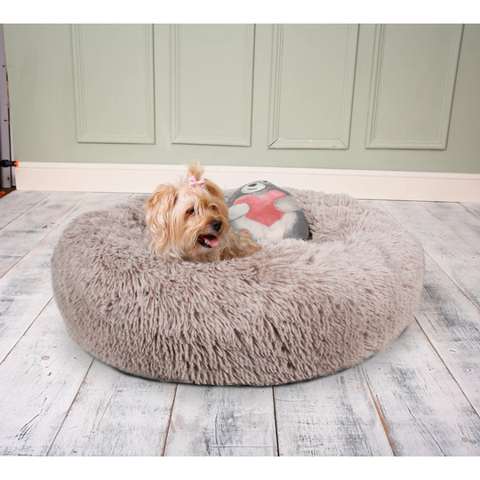 Carmelo Brown Pet Bed with Toy