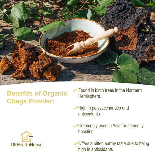 (Organic Wild Chaga Mushroom Powder 1kg Perfect Chaga Tea Mushroom of Immortality) Organic Wild Chaga Mushroom Powder