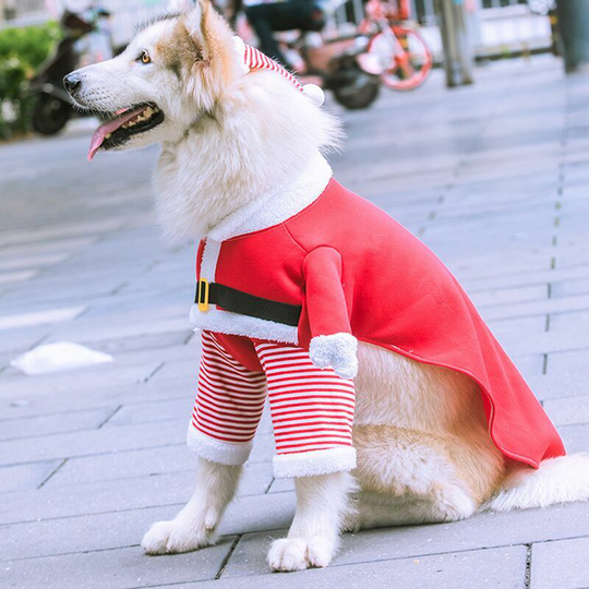 Morejieka - Christmas Pet Costume, Christmas Dog Cosplay Outfit Cute Santa Claus Puppy Kitty Party Clothes Cat New Year Funny Dress Up Pet Parties