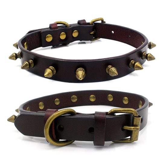 Lovpe Single Row Gold Studded Leather Dog/Cat Collar With Gold Rhinestone Clasp
