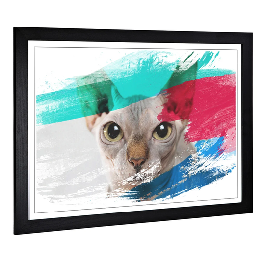 'Sphynx Cat' Framed Art Print