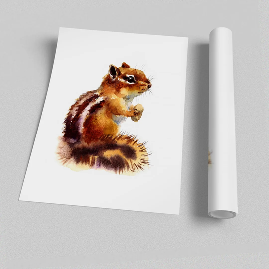 'Squirrel Nuts Wildlife' - Unframed Graphic Art Print on Paper