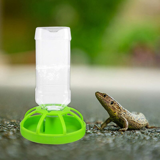 Reptile Water Dispenser Automatic Water Bowl Dispenser Drinker Feeding Accessories for Turtles Dragons Lizards Geckos