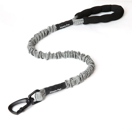 FVO - Elastic Dog Leash, Nylon Dog Leash, Large Dog Anti-Pull Strong Rope Leash, Elastic Pet Leash, with Padded Handle, for Large and Large Dogs