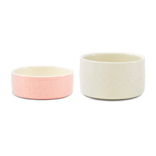 2 Piece Dog Bowl Set