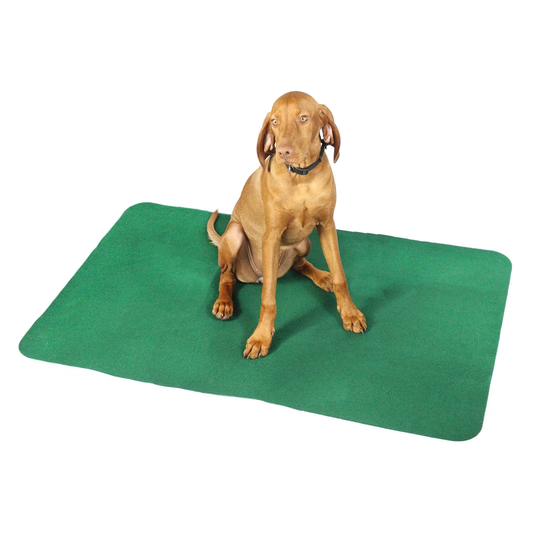 Mariposa Mat in Green