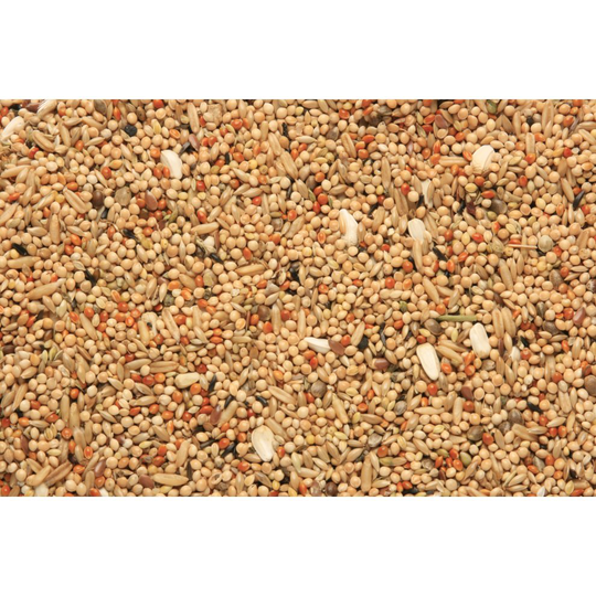 SkyGold Popular Parakeet Cage & Aviary Seed Mix 20Kg