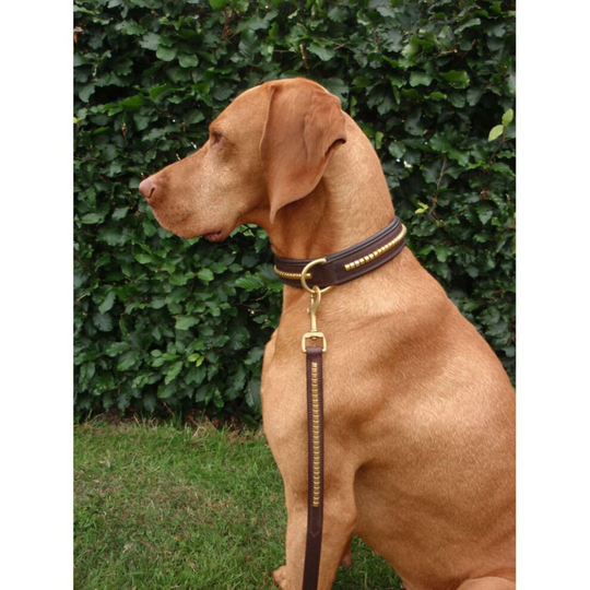 (Brown/Gold, 50 CM) Horka Leather Dog Collar Adjustable Neck Buckle D Ring Strong Smooth Halter
