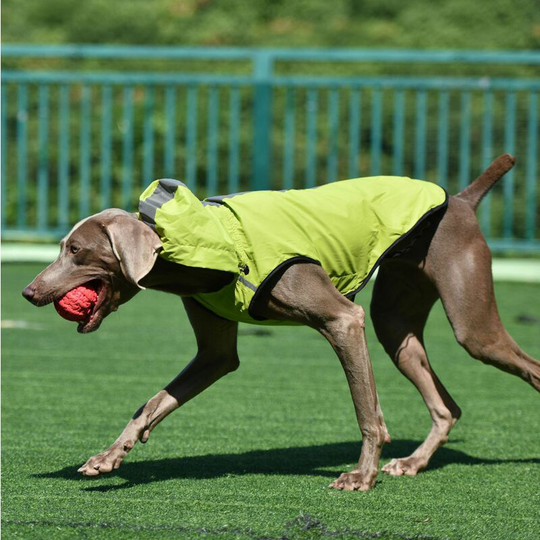 Green pet clothing dog reflective raincoat large, medium, small feet hooded waterproof dog clothing 52*40*39cm