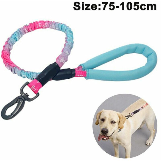 Heavy Duty Bungee Rope Leash for Large and Medium Dogs with Anti-Pull to Absorb Shock - No Reflective Leash for Outdoors