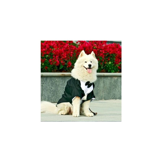 Pet Suit Dress Golden Husky Alaskan Suit Gentleman's Dress, (size 24) (chest 42', back 27', neck 28'), black striped suit).