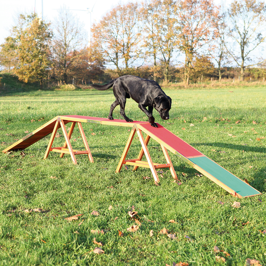 Trixie Dog Agility Bridge - 456 x 30 x 64 cm (L x W x H)