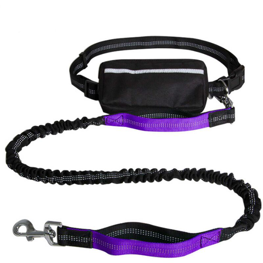Hands-free Waist Dog Leash with Removable Zipper Pouch Reflective Strap Double Bungee Double Handles Night Running