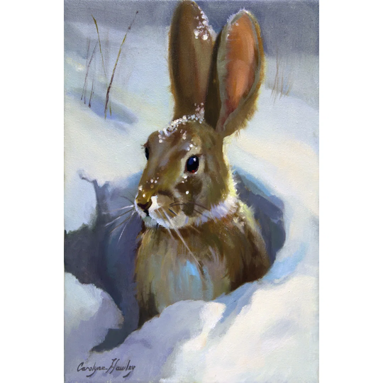 Snow Bunny by Carolyne Hawley - Wrapped Canvas Art Prints