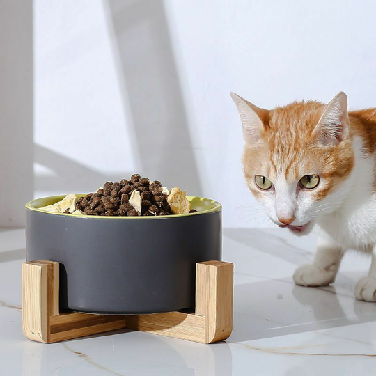 Blue Yellow Ceramic Bowls for Dogs Cats Dog Cat Bowl for Food Water -Combined with Bamboo Stand