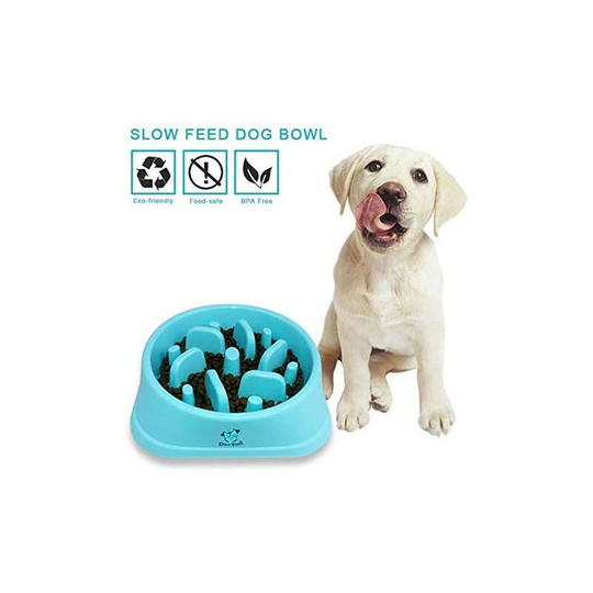 Labyrinth Shaped Non-Slip Pet Food Bowl - Promotes Healthy Eating & Slow Digestion
