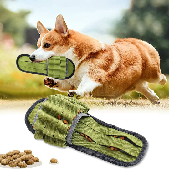 Large Dog Toy Molar Training Toys Molar Voice Toys Smart Dog Toy Washable Interactive Educational Toy for Small Large Dogs (Green)