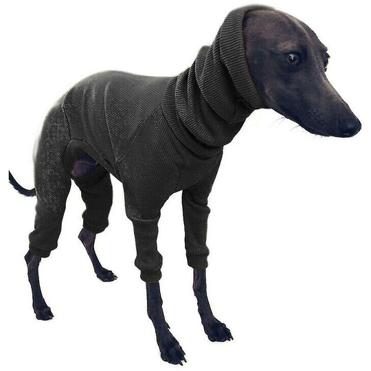 Reusable Dog Diapers Sanitary Cotton Pet Physiological Pants Dog Diapers
