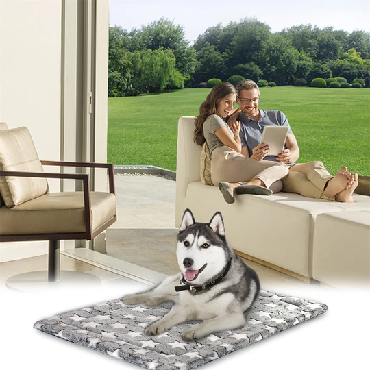 Beachwood Mat/Pad in Grey/Blue