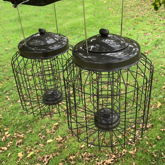 Filippo Suet Bird Feeder