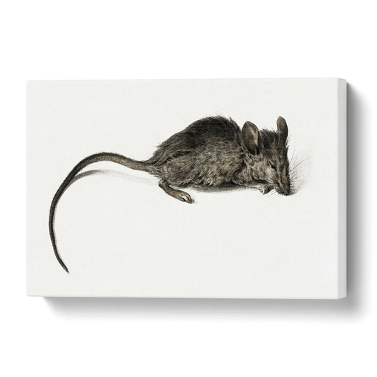'Mouse' by Jean Bernard - Wrapped Canvas Painting Print