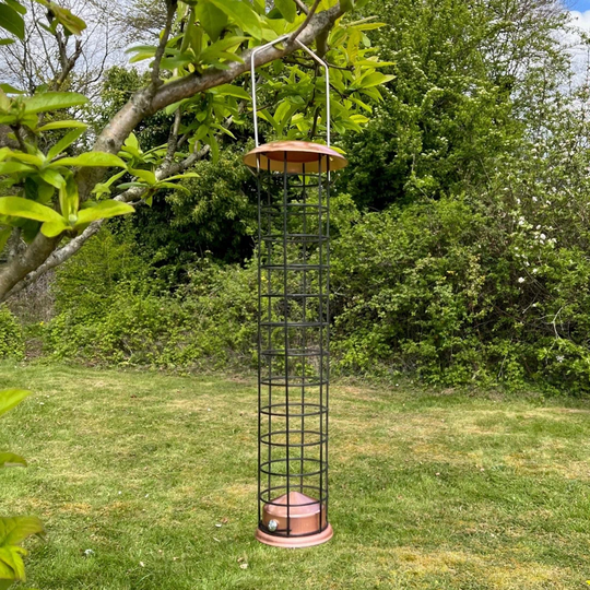 Gallinas Suet Bird Feeder