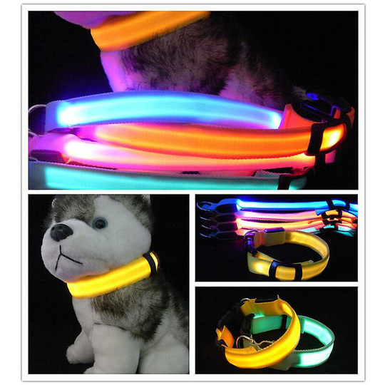 2pcs Led Dog Collar, Usb Rechargeable Waterproof Luminous Pet Collars, Orange(medium)