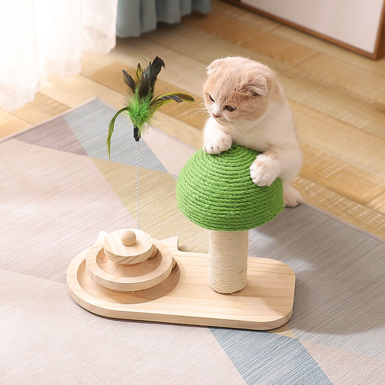 Three Layer Cat Toy - Interactive Cat Toy