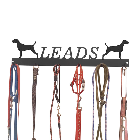 Allanton Wall Mounted Coat Rack