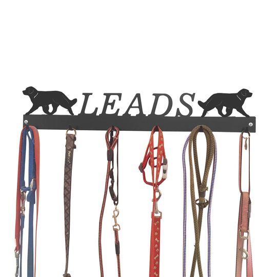 Aleshanee Wall Mounted Coat Rack