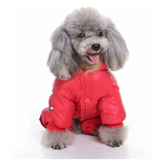 Pet Dog Winter Clothing, Four-legged Air Force Jacket (red s Size) - Thsinde