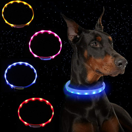 Led Dog Necklace led Light Pet Necklace Rechargeable by usb (4 packs: blue + orange + pink + yellow), which can improve the visibility and safety of