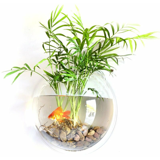 Home Decoration Wall Mount Fish Tanks Flower Vase, 150mm diameter & type 2